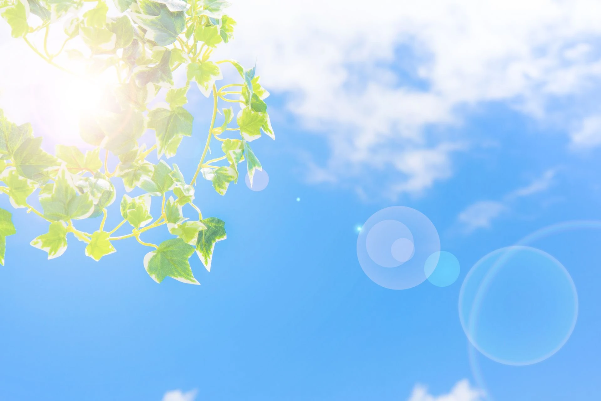 AdobeStock_110569078.jpg